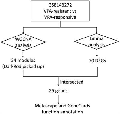 Identification of mRNA expression biomarkers associated with epilepsy and response to valproate with co-expression analysis